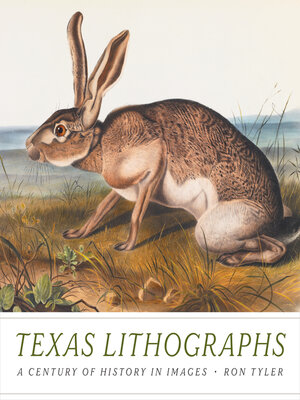 cover image of Texas Lithographs